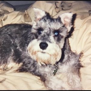 Meet your Posher, Suzi